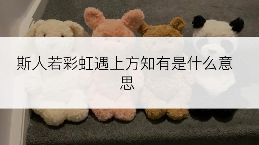 斯人若彩虹遇上方知有是什么意思