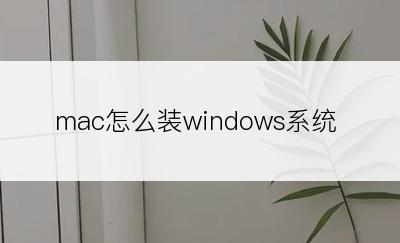 mac怎么装windows系统