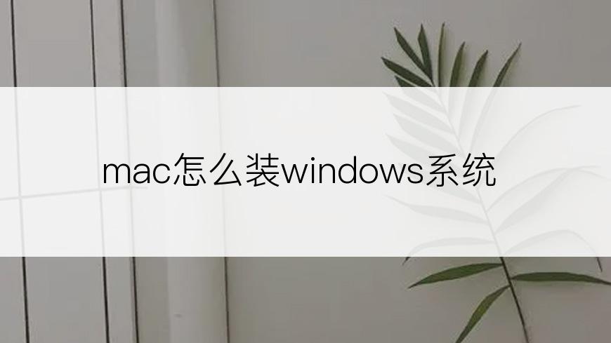 mac怎么装windows系统