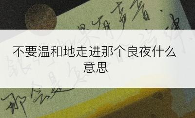 不要温和地走进那个良夜什么意思