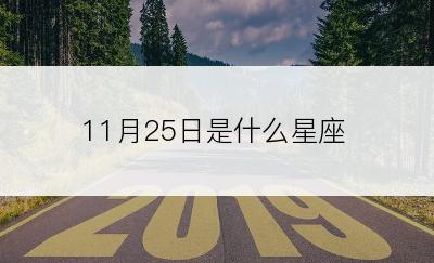 11月25日是什么星座