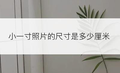 小一寸照片的尺寸是多少厘米