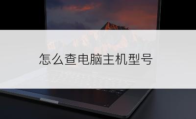 怎么查电脑主机型号