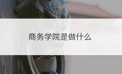 商务学院是做什么