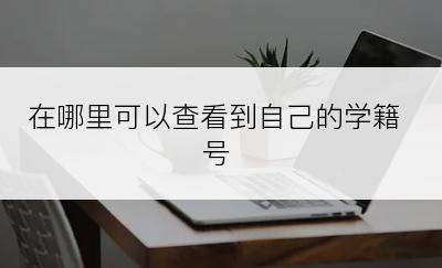 在哪里可以查看到自己的学籍号