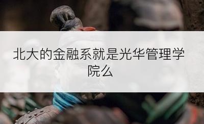 北大的金融系就是光华管理学院么