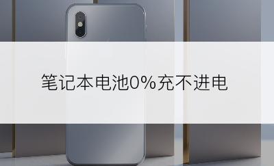 笔记本电池0%充不进电