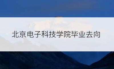 北京电子科技学院毕业去向