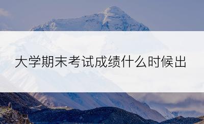 大学期末考试成绩什么时候出