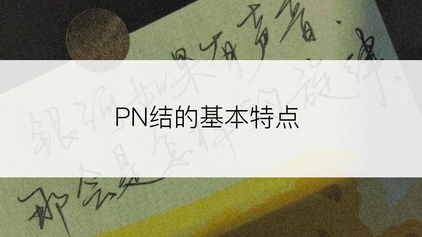 PN结的基本特点