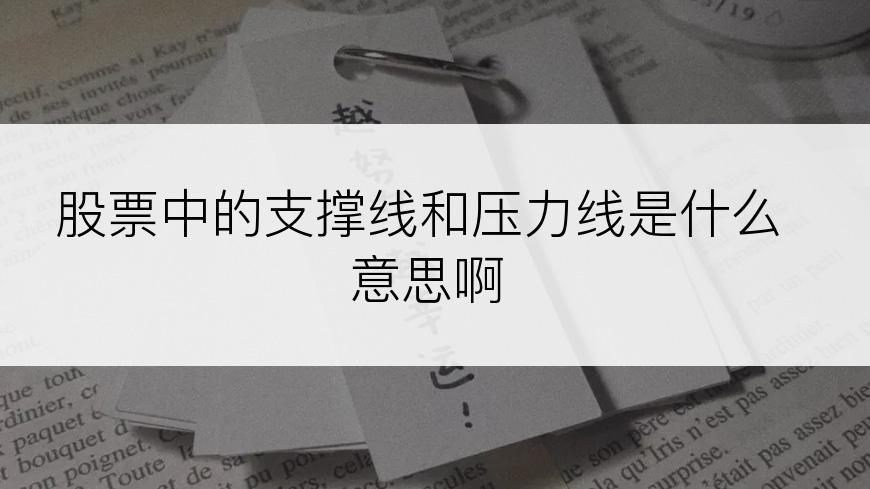 股票中的支撑线和压力线是什么意思啊