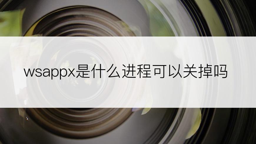 wsappx是什么进程可以关掉吗