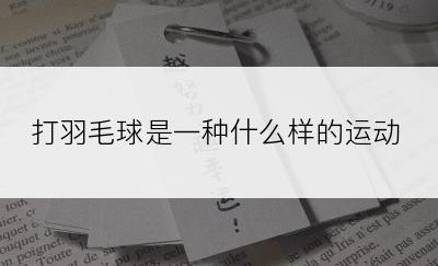 打羽毛球是一种什么样的运动