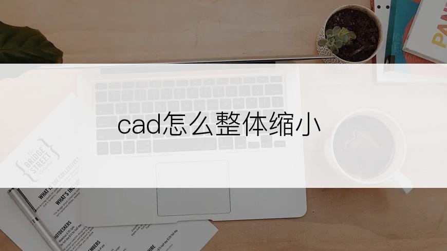 cad怎么整体缩小