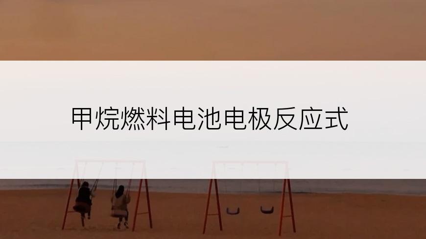 甲烷燃料电池电极反应式