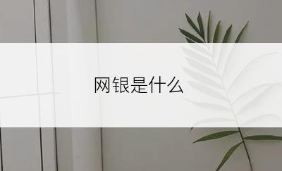 网银是什么