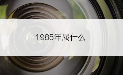 1985年属什么