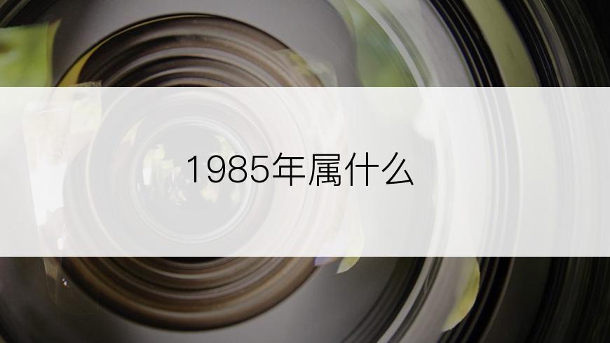 1985年属什么