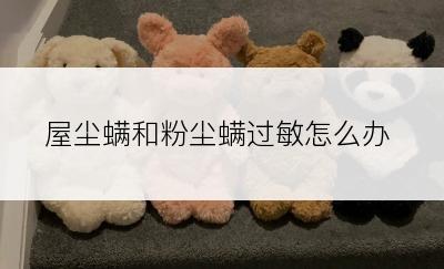 屋尘螨和粉尘螨过敏怎么办