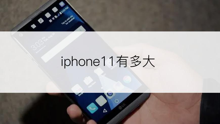 iphone11有多大