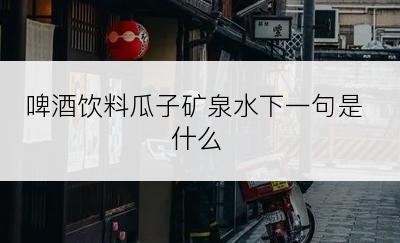 啤酒饮料瓜子矿泉水下一句是什么