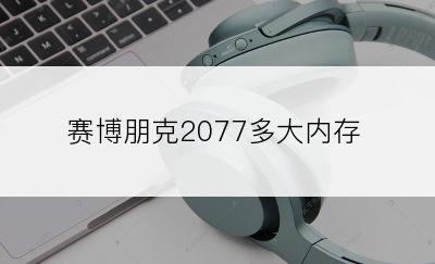 赛博朋克2077多大内存