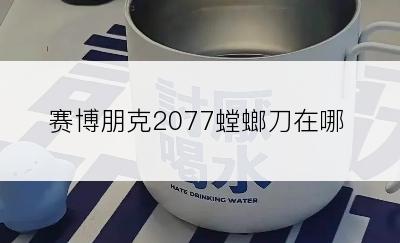 赛博朋克2077螳螂刀在哪