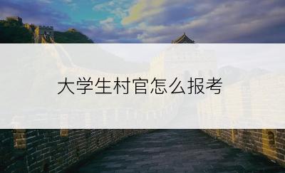 大学生村官怎么报考