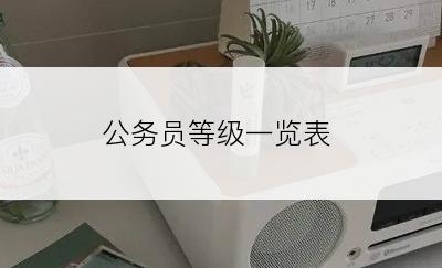 公务员等级一览表