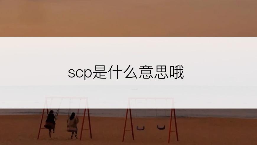 scp是什么意思哦