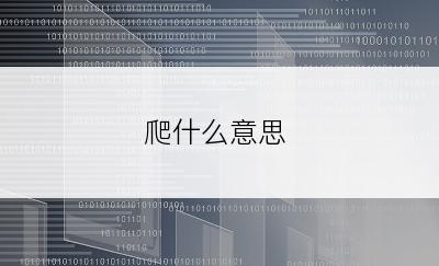 爬什么意思