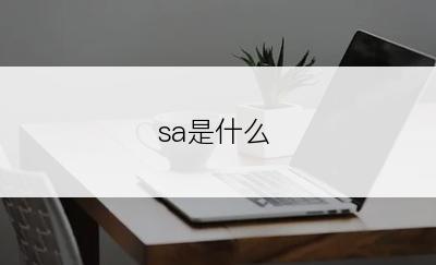 sa是什么