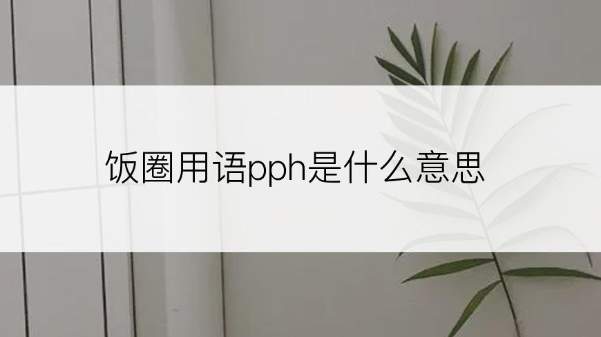 饭圈用语pph是什么意思