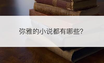 弥雅的小说都有哪些？