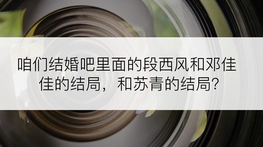 咱们结婚吧里面的段西风和邓佳佳的结局，和苏青的结局？