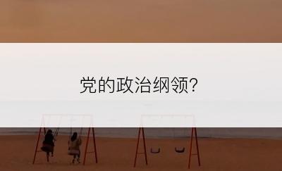 党的政治纲领？