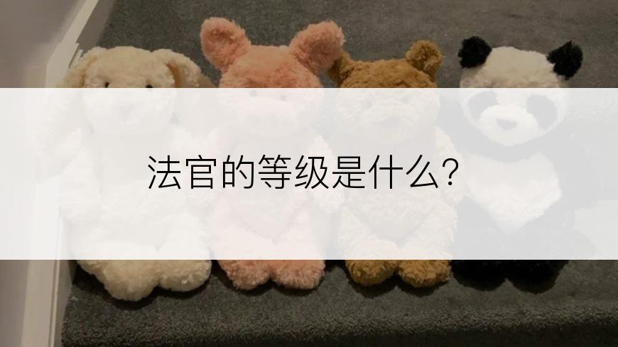 法官的等级是什么？