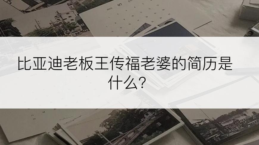 比亚迪老板王传福老婆的简历是什么？