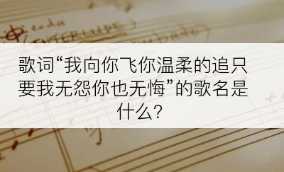 歌词“我向你飞你温柔的追只要我无怨你也无悔”的歌名是什么？