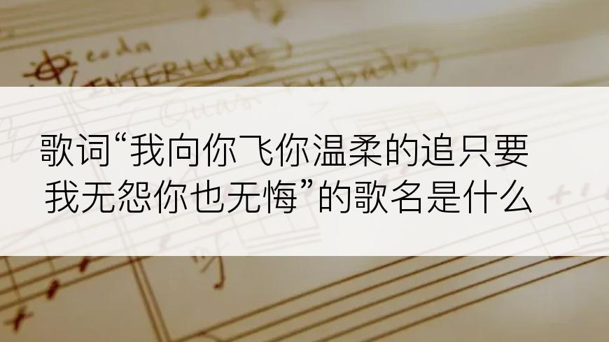 歌词“我向你飞你温柔的追只要我无怨你也无悔”的歌名是什么？