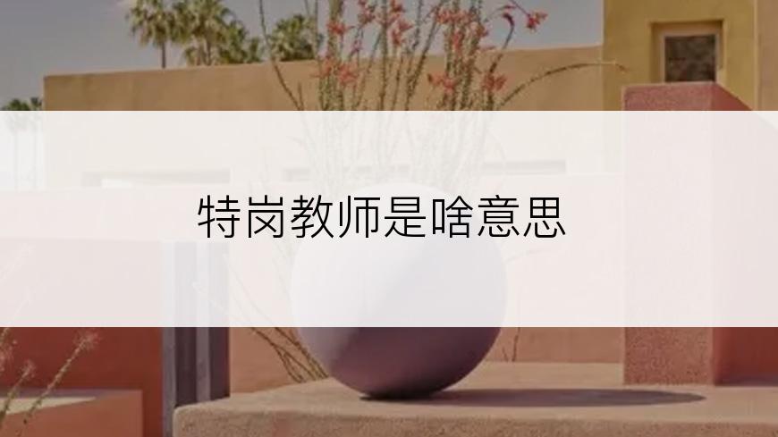 特岗教师是啥意思