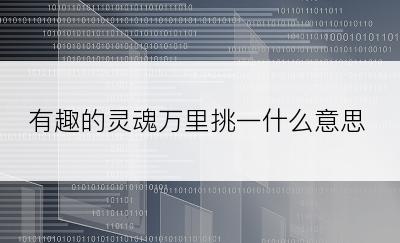 有趣的灵魂万里挑一什么意思