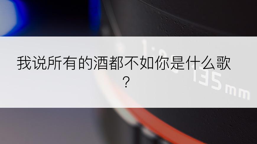 我说所有的酒都不如你是什么歌?