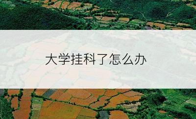 大学挂科了怎么办