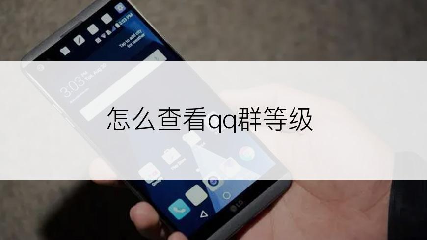 怎么查看qq群等级