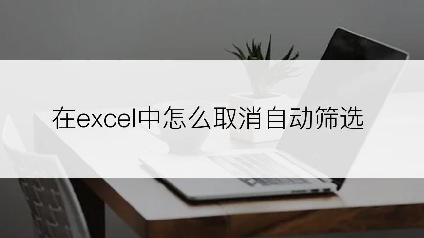 在excel中怎么取消自动筛选