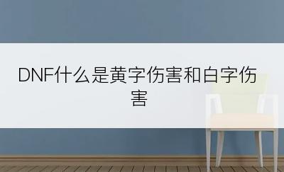 DNF什么是黄字伤害和白字伤害