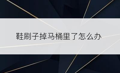 鞋刷子掉马桶里了怎么办