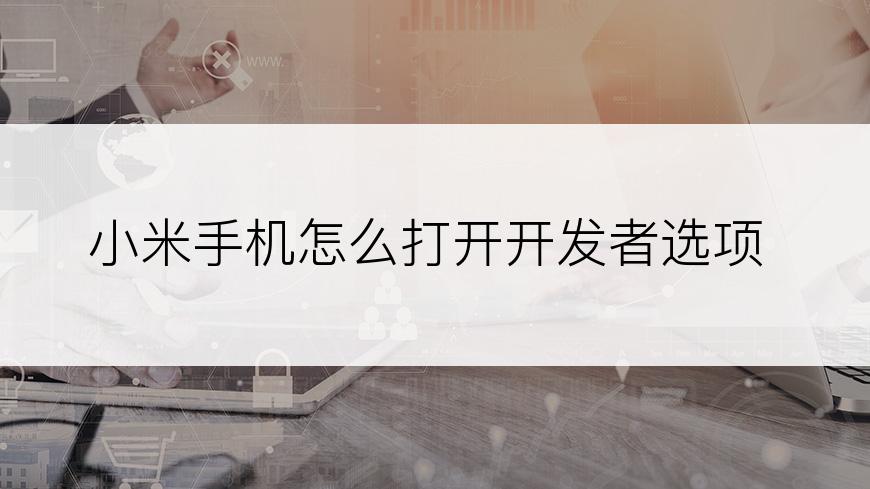 小米手机怎么打开开发者选项