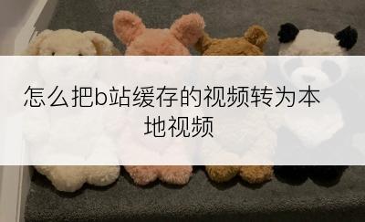 怎么把b站缓存的视频转为本地视频